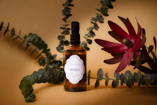 Calendula