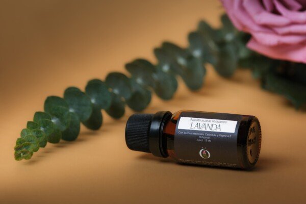 Lavanda