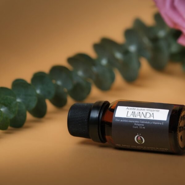 Lavanda